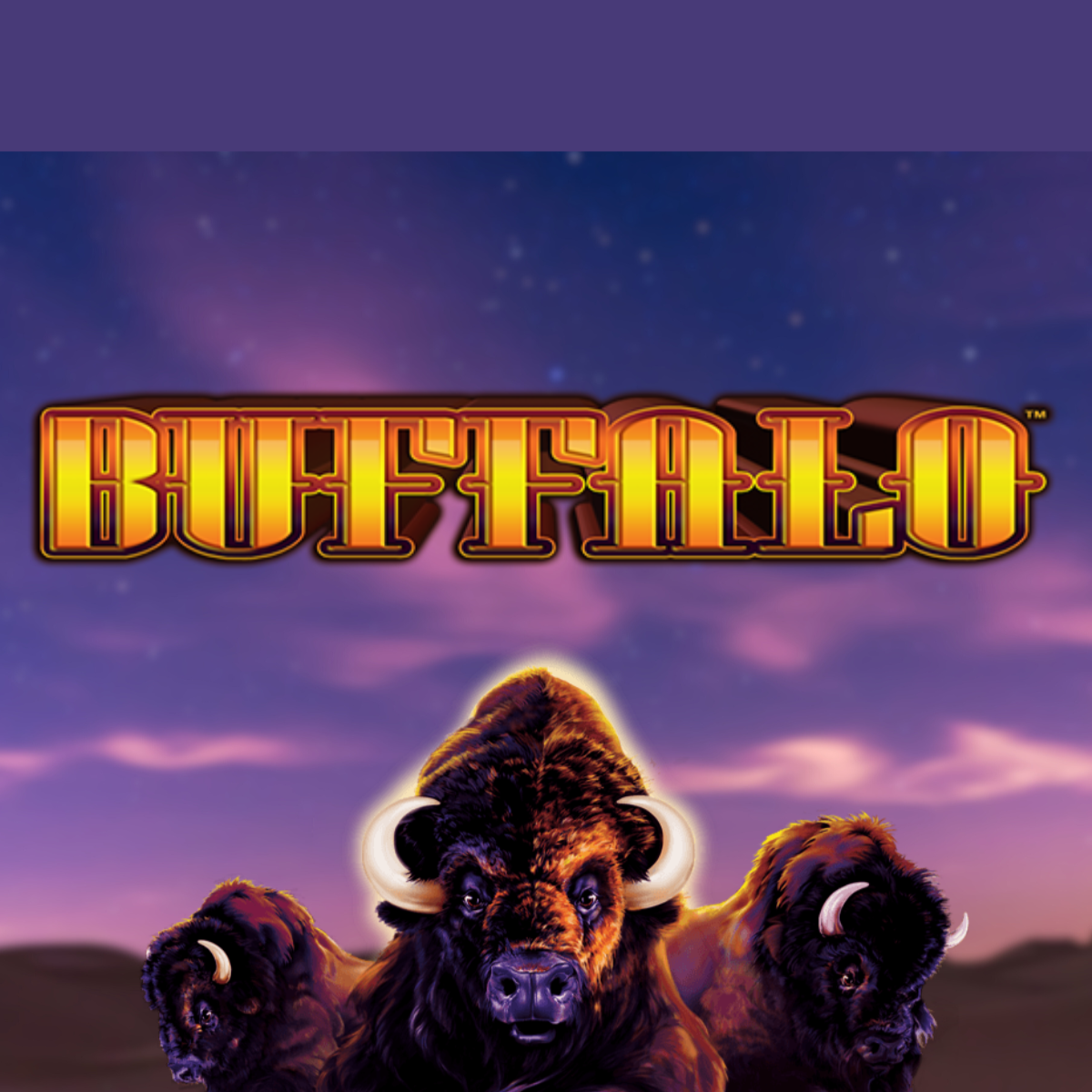 Buffalo Slots